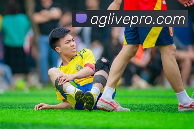 AG真人游戏平台服务体系