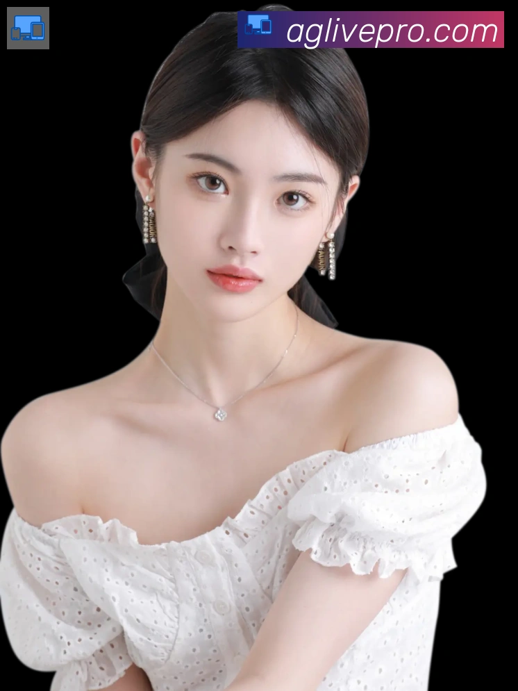 奖项证书