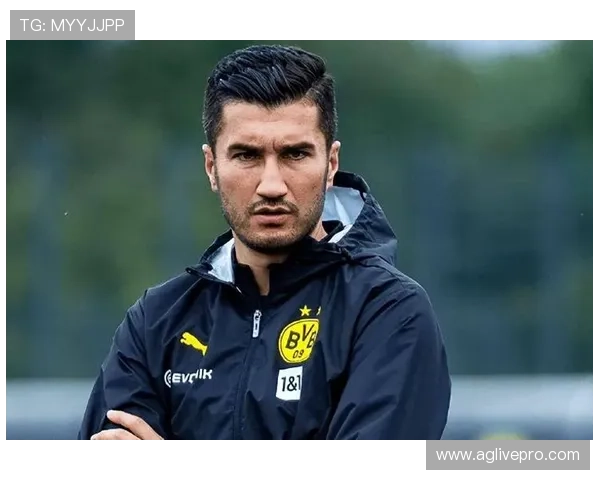 德甲远征球迷名单公布：谁是最铁的客场支持者？